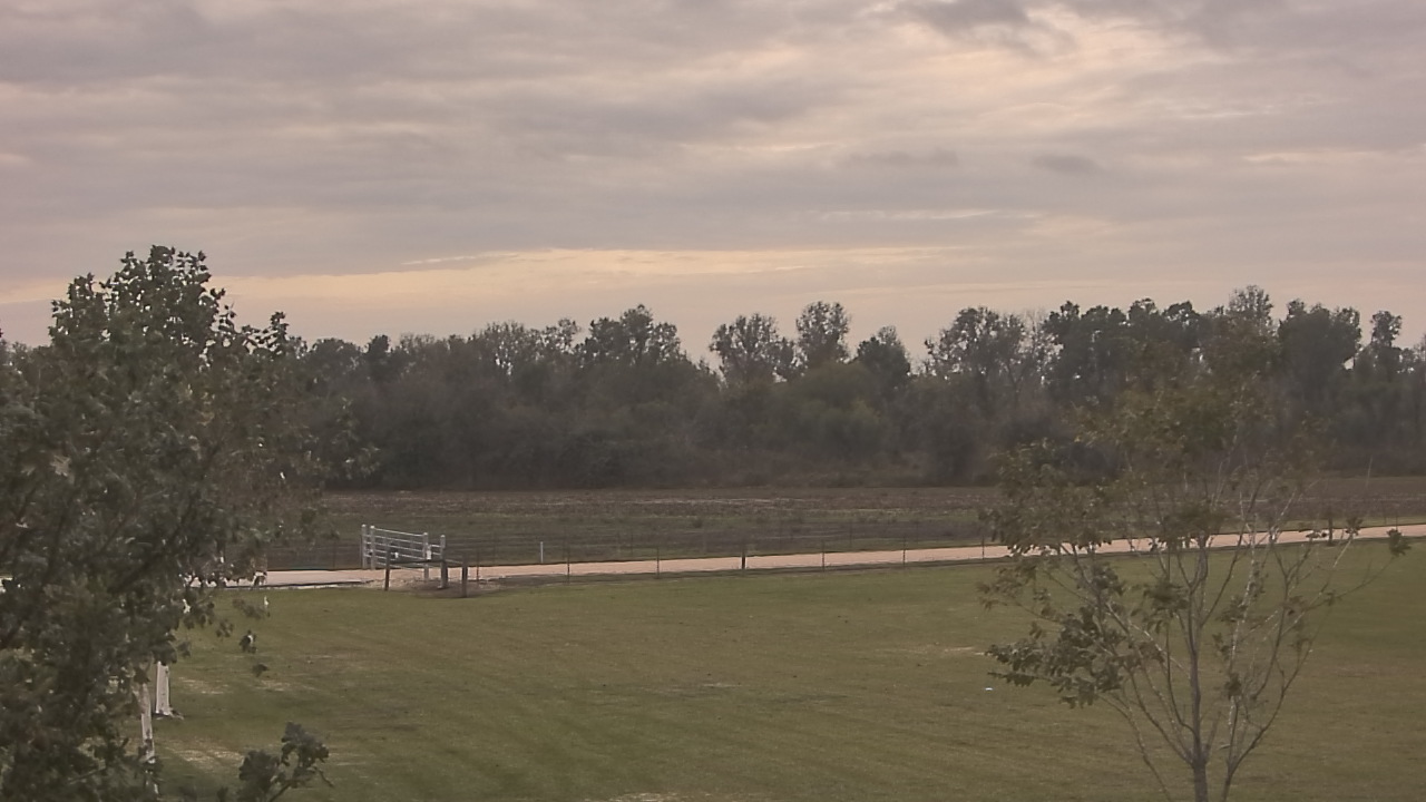 Thumbnail for current weather camera view from Long Acres Ranch in Richmond, Texas