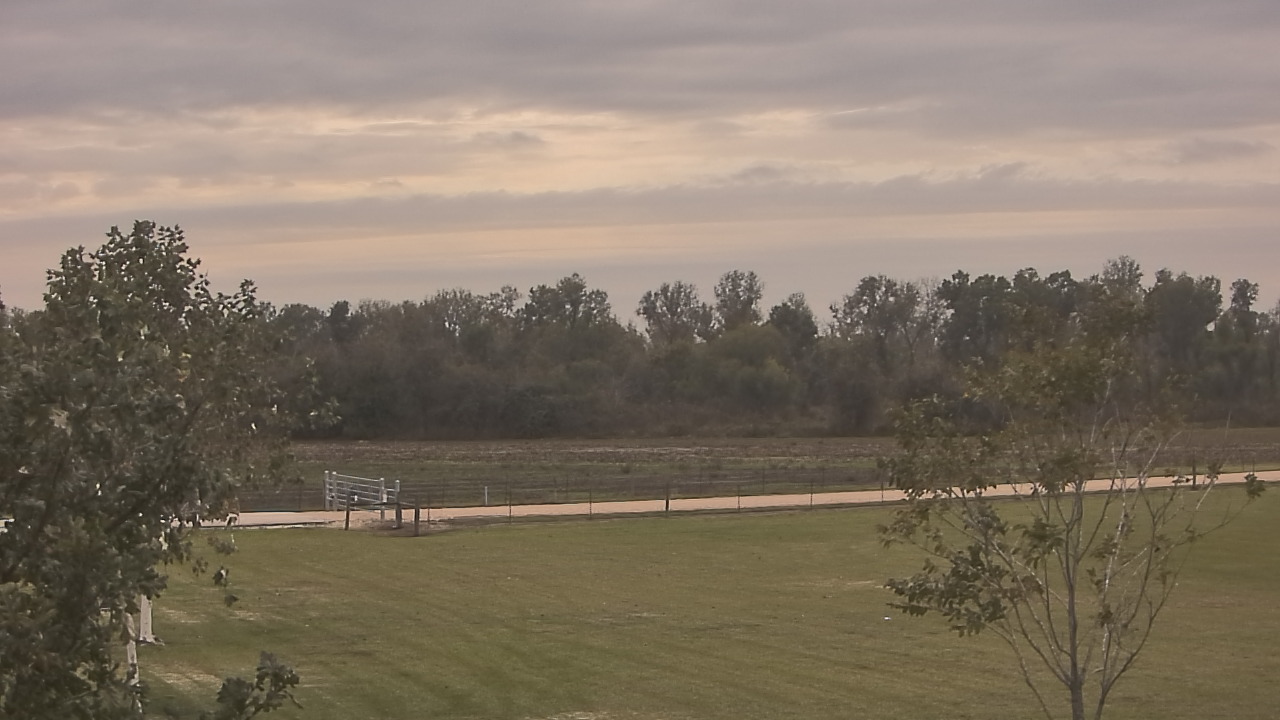 Thumbnail for current weather camera view from Long Acres Ranch in Richmond, Texas