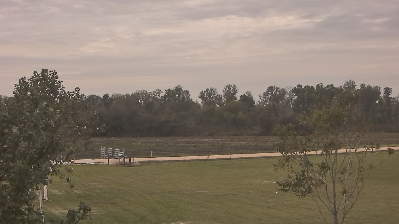 Thumbnail for current weather camera view from Long Acres Ranch in Richmond, Texas