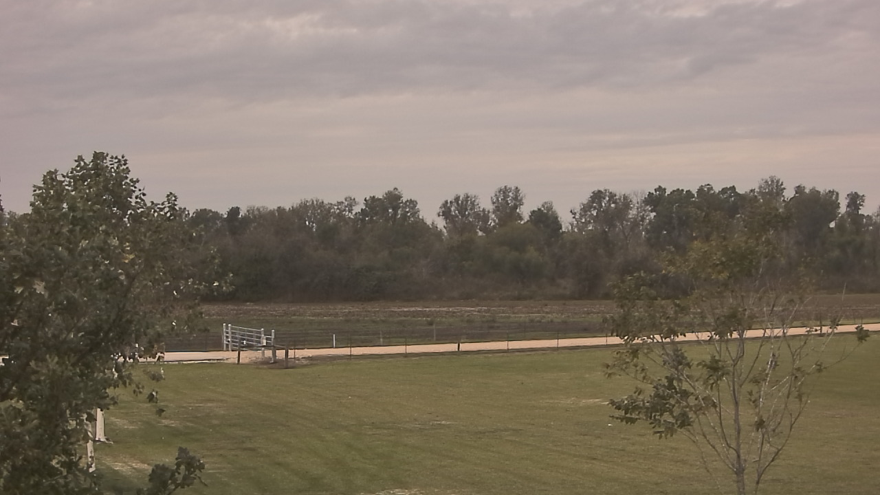 Thumbnail for current weather camera view from Long Acres Ranch in Richmond, Texas