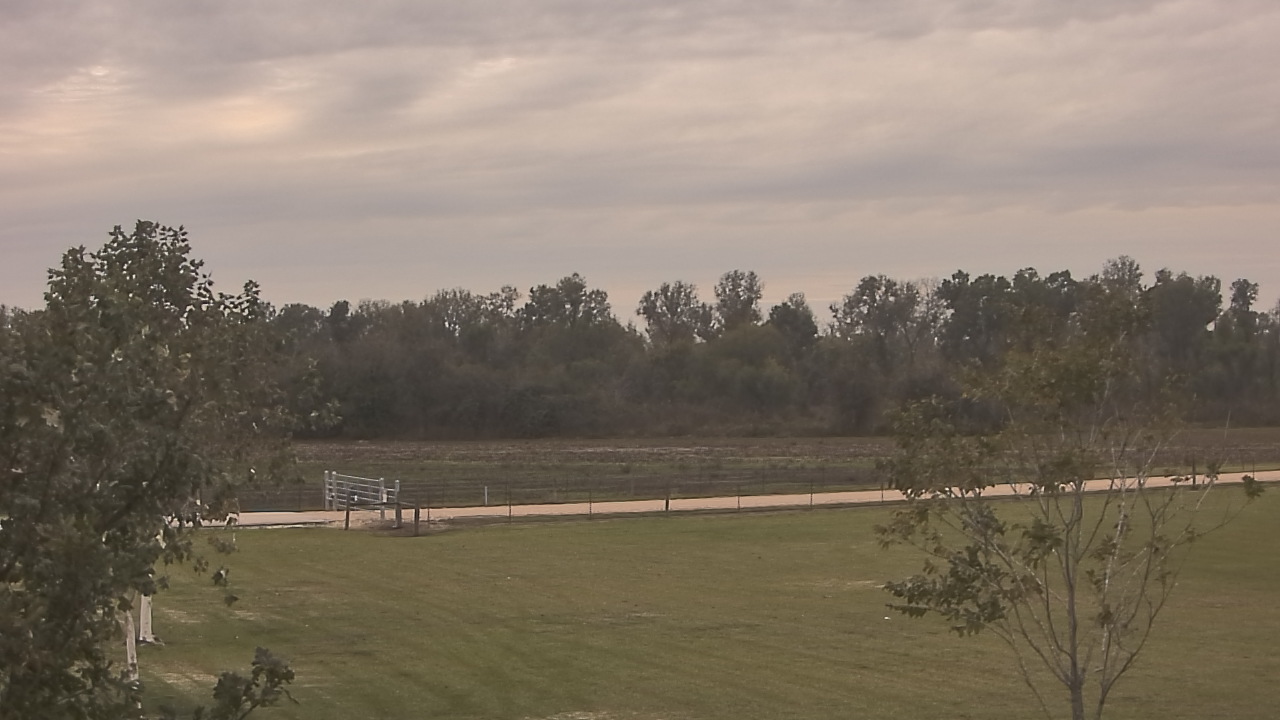 Thumbnail for current weather camera view from Long Acres Ranch in Richmond, Texas