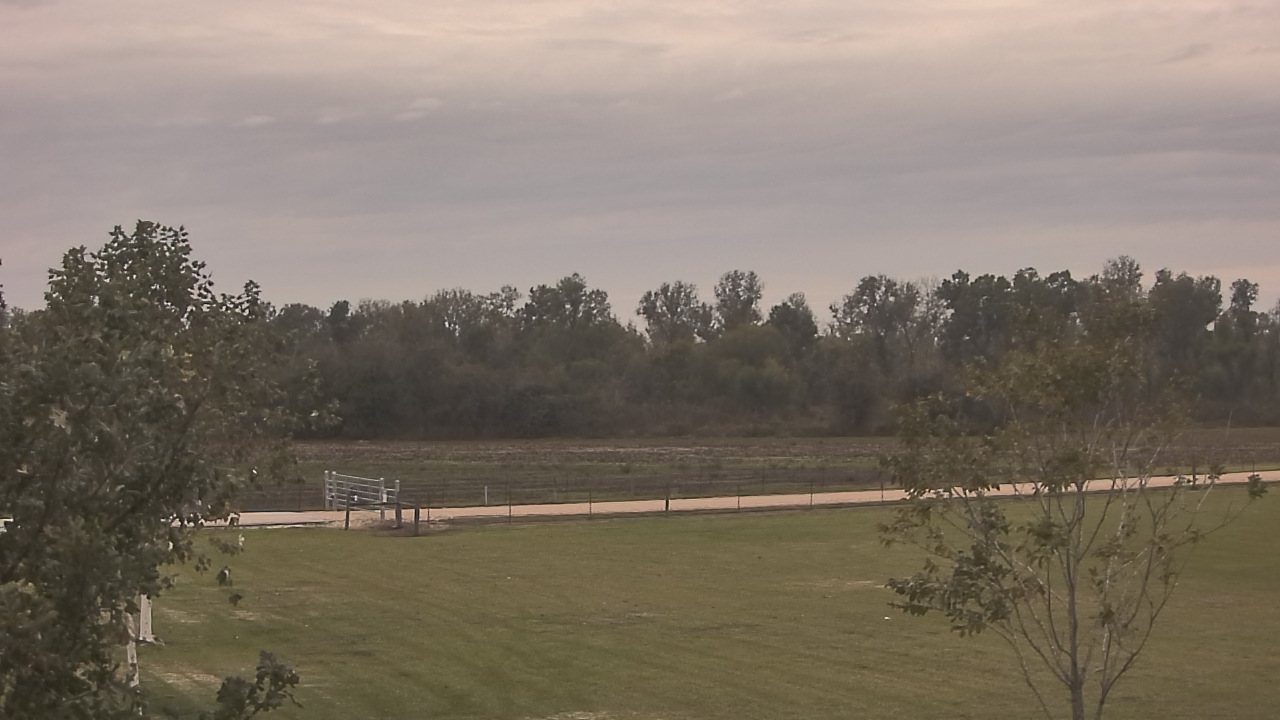 Thumbnail for current weather camera view from Long Acres Ranch in Richmond, Texas