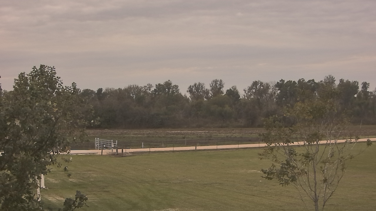 Thumbnail for current weather camera view from Long Acres Ranch in Richmond, Texas
