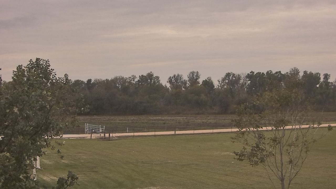 Thumbnail for current weather camera view from Long Acres Ranch in Richmond, Texas