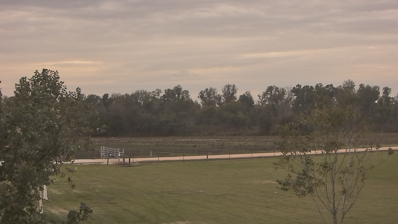 Thumbnail for current weather camera view from Long Acres Ranch in Richmond, Texas