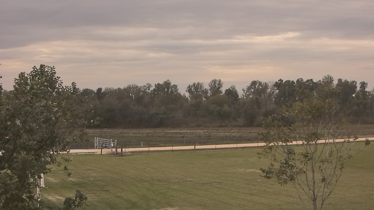 Thumbnail for current weather camera view from Long Acres Ranch in Richmond, Texas