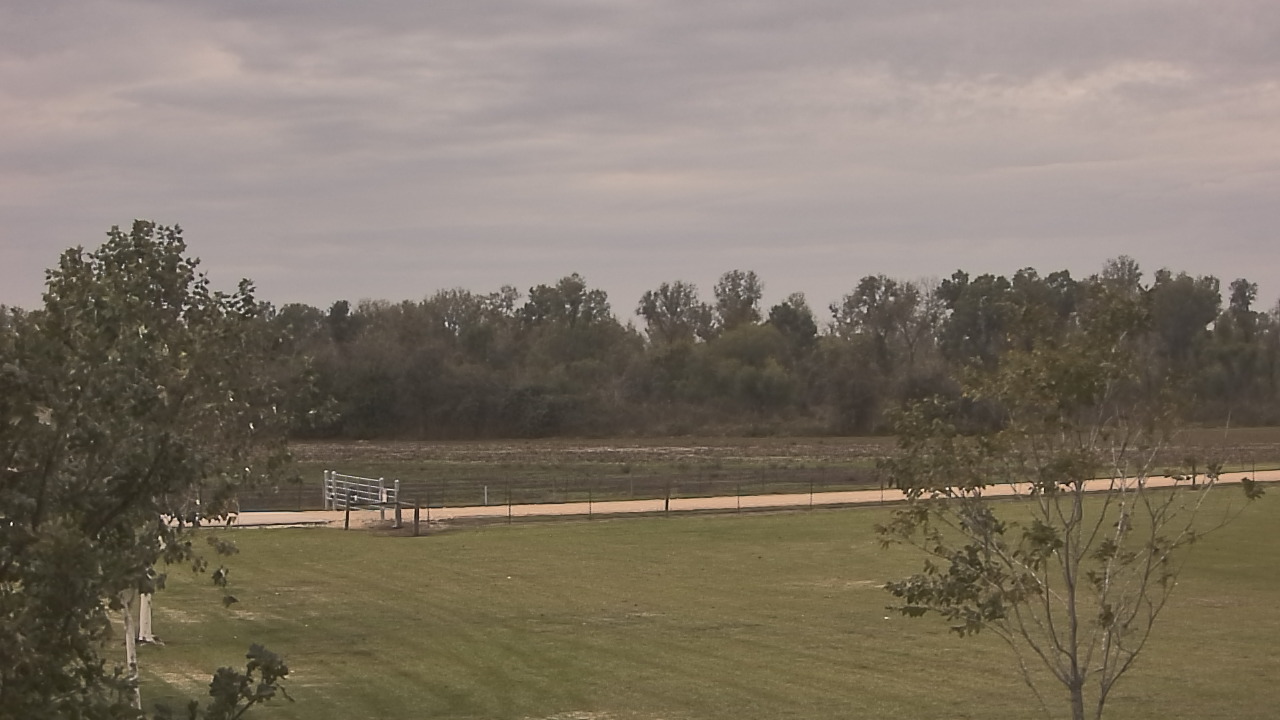 Thumbnail for current weather camera view from Long Acres Ranch in Richmond, Texas