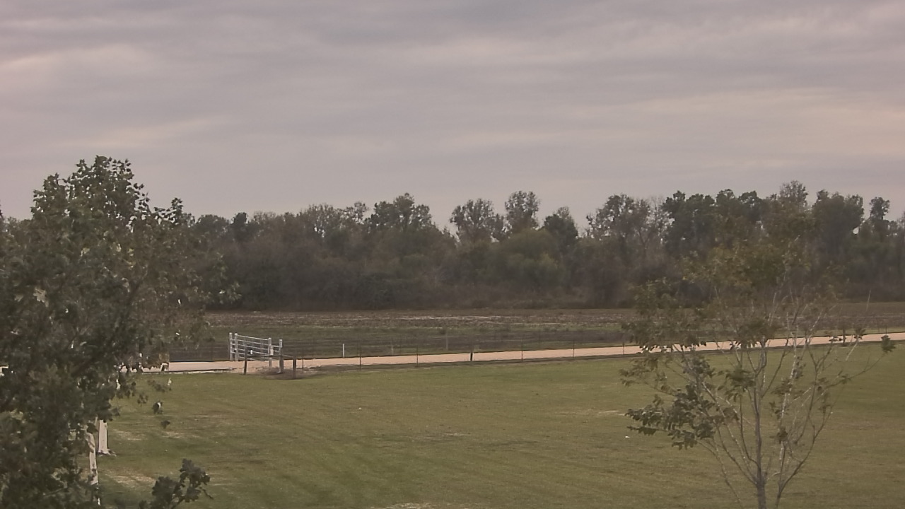 Thumbnail for current weather camera view from Long Acres Ranch in Richmond, Texas