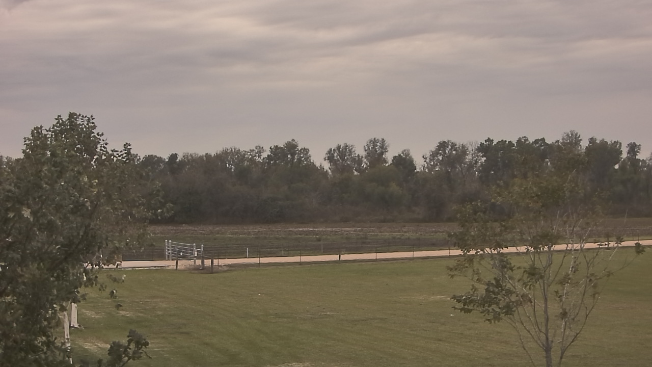 Thumbnail for current weather camera view from Long Acres Ranch in Richmond, Texas