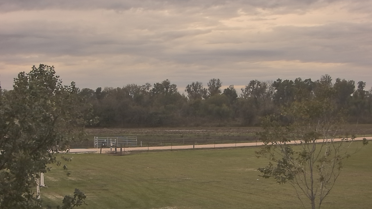 Thumbnail for current weather camera view from Long Acres Ranch in Richmond, Texas