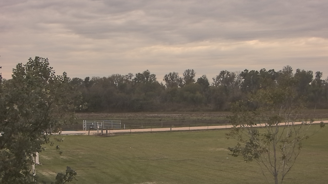 Thumbnail for current weather camera view from Long Acres Ranch in Richmond, Texas