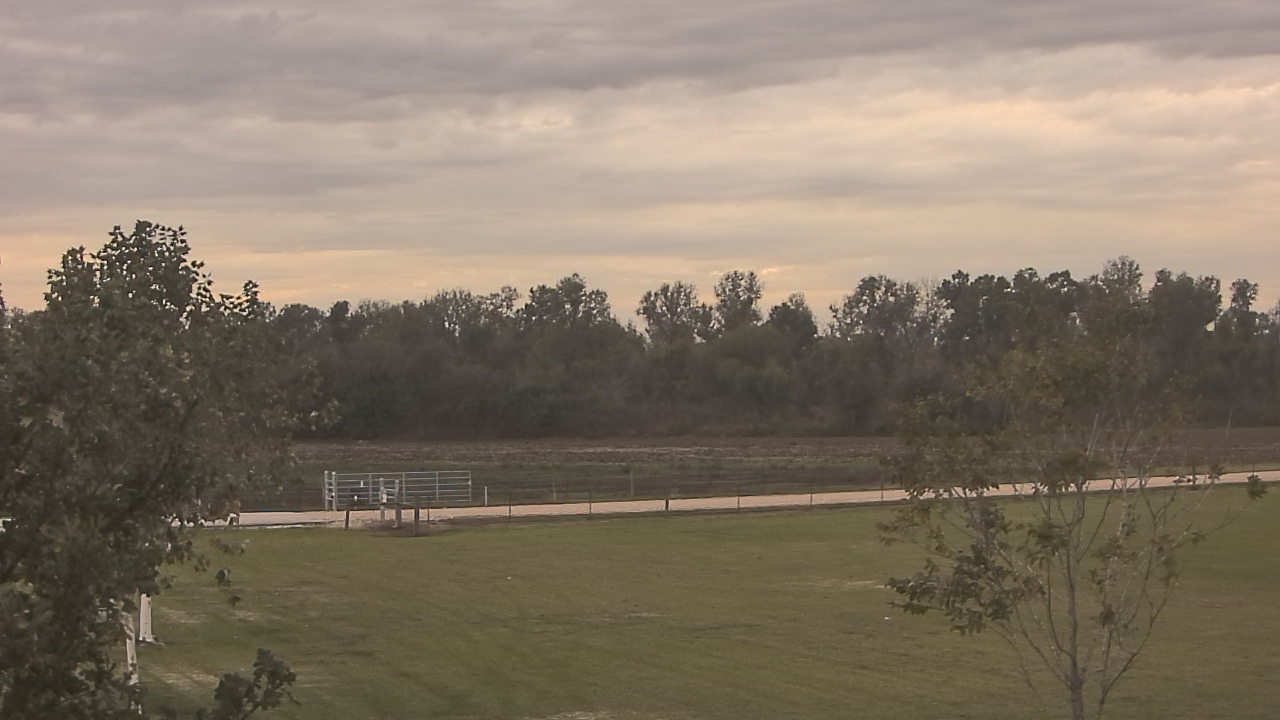 Thumbnail for current weather camera view from Long Acres Ranch in Richmond, Texas