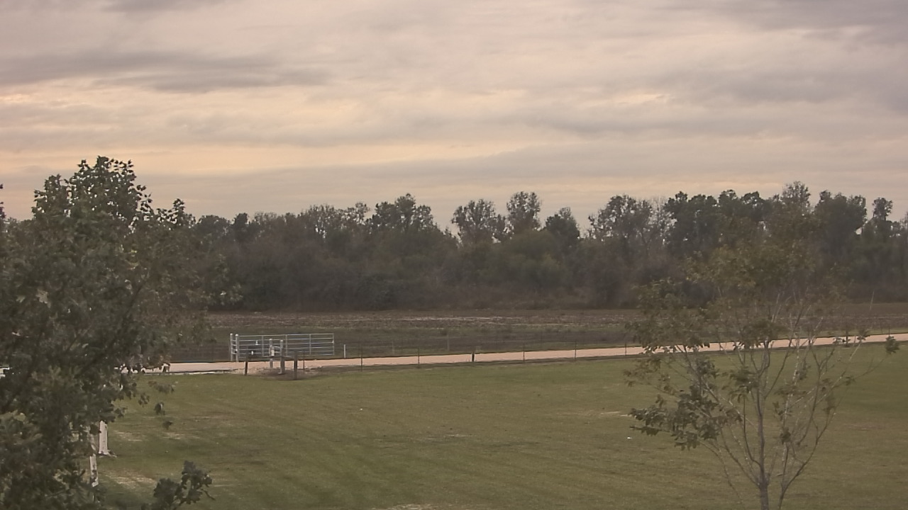Thumbnail for current weather camera view from Long Acres Ranch in Richmond, Texas