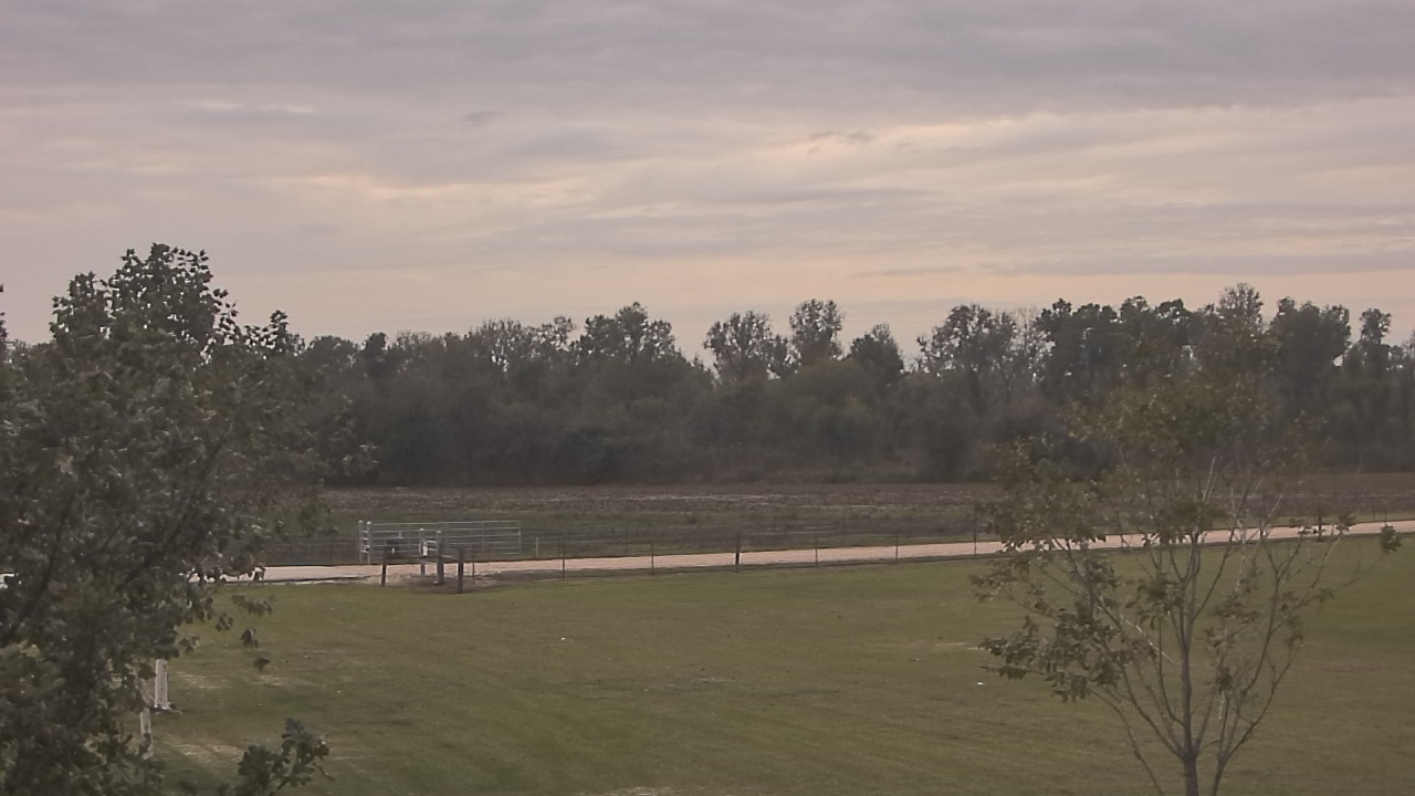 Thumbnail for current weather camera view from Long Acres Ranch in Richmond, Texas