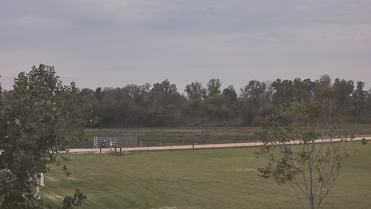 Thumbnail for current weather camera view from Long Acres Ranch in Richmond, Texas
