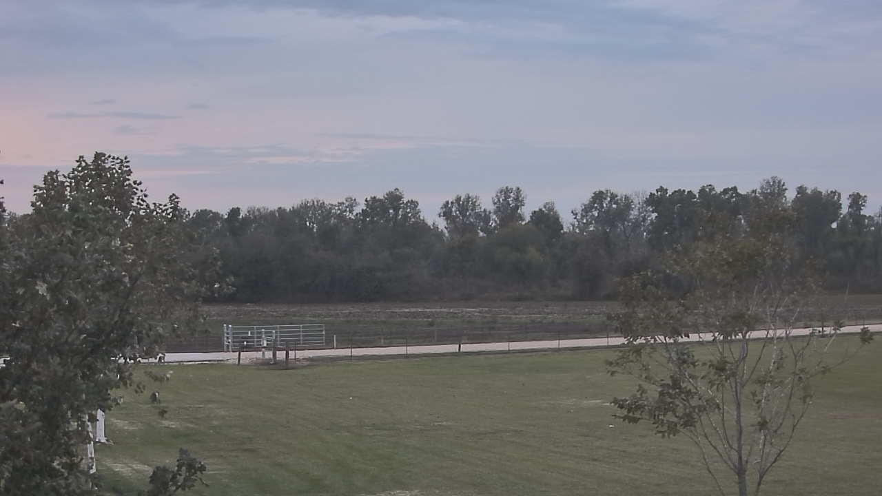 Thumbnail for current weather camera view from Long Acres Ranch in Richmond, Texas