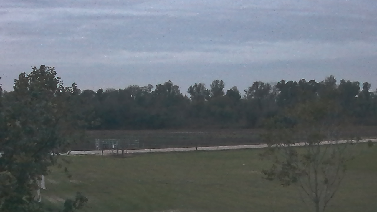 Thumbnail for current weather camera view from Long Acres Ranch in Richmond, Texas