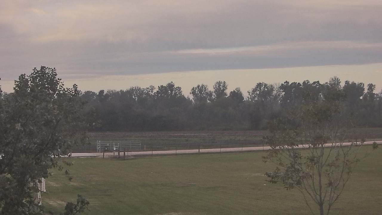 Thumbnail for current weather camera view from Long Acres Ranch in Richmond, Texas