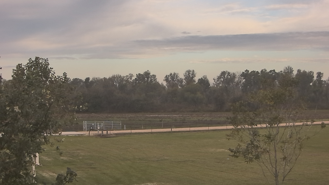 Thumbnail for current weather camera view from Long Acres Ranch in Richmond, Texas