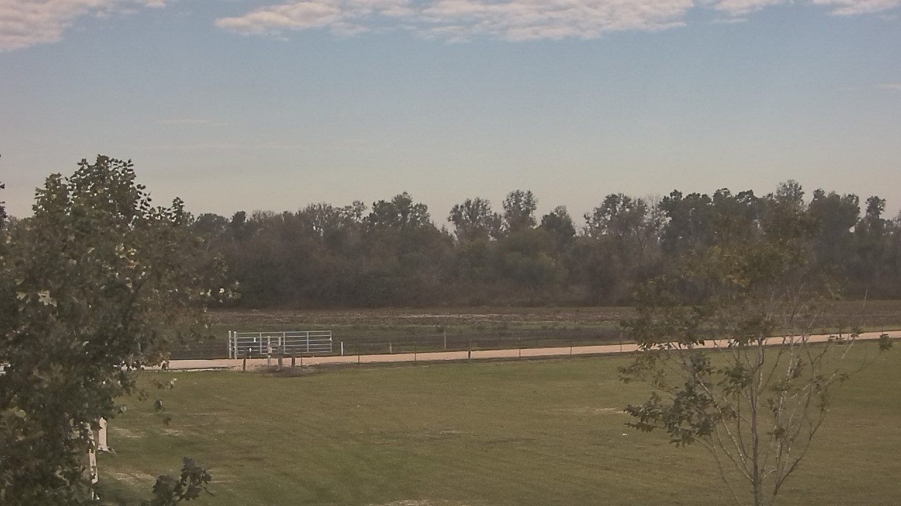 Thumbnail for current weather camera view from Long Acres Ranch in Richmond, Texas