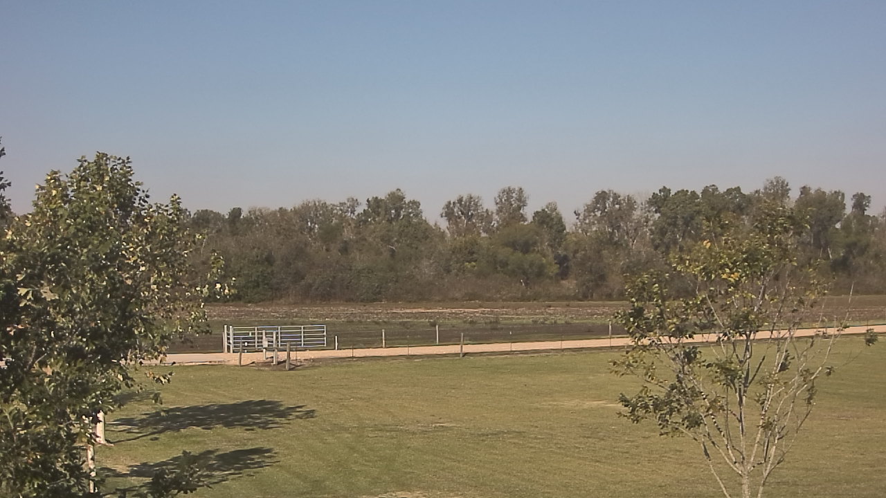 Thumbnail for current weather camera view from Long Acres Ranch in Richmond, Texas