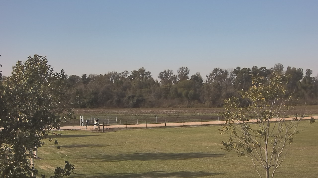 Thumbnail for current weather camera view from Long Acres Ranch in Richmond, Texas