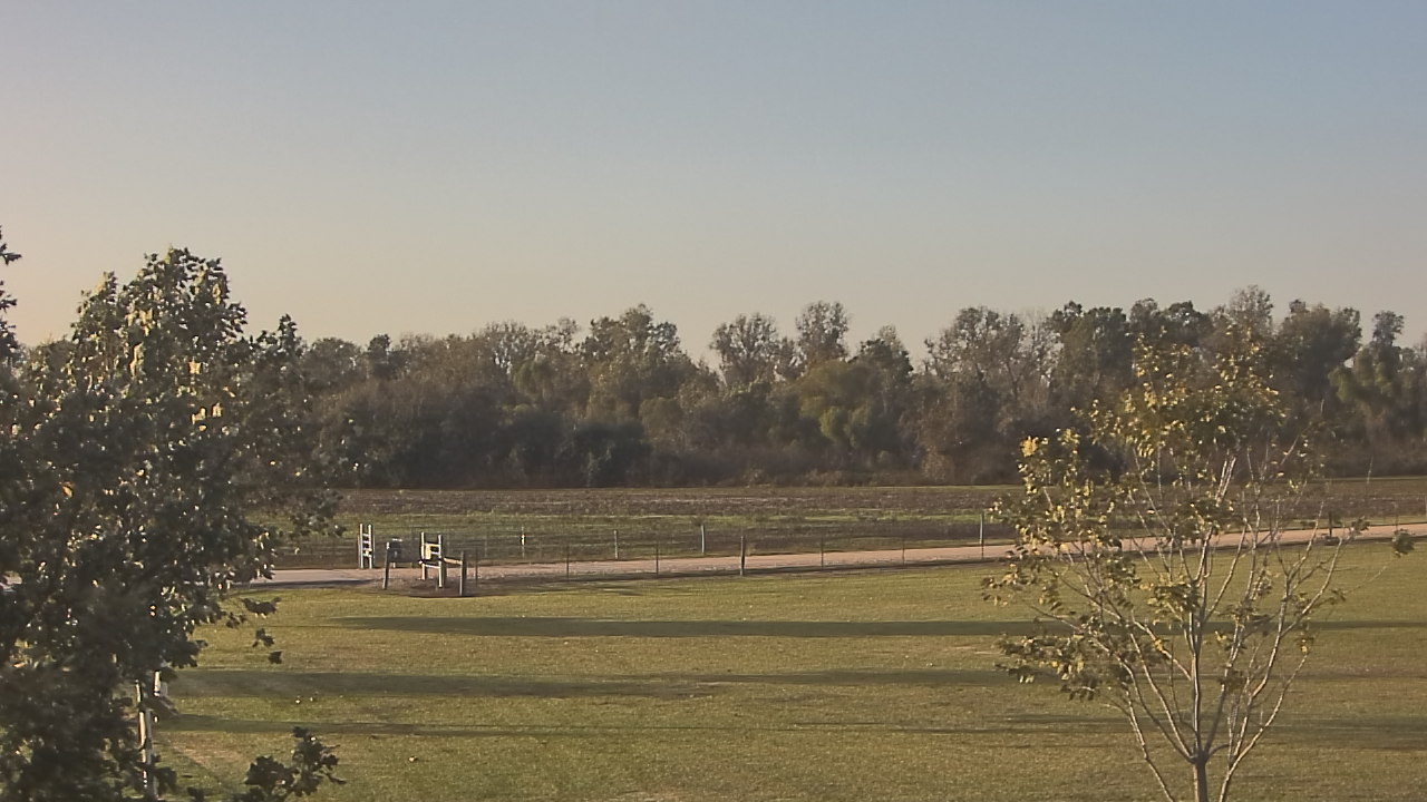 Thumbnail for current weather camera view from Long Acres Ranch in Richmond, Texas