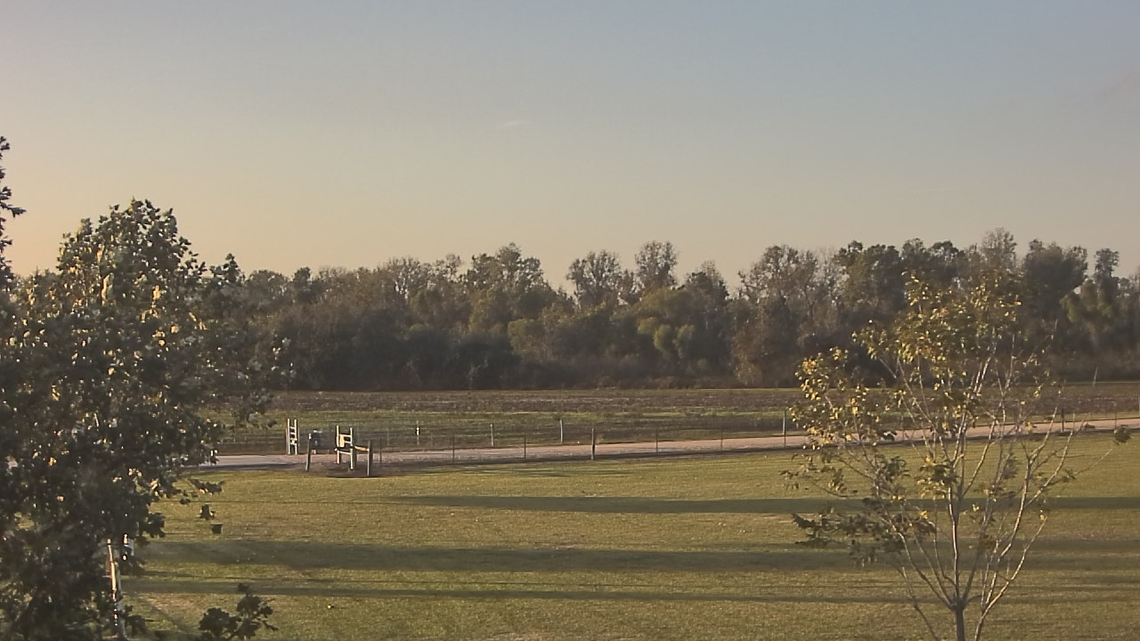 Thumbnail for current weather camera view from Long Acres Ranch in Richmond, Texas