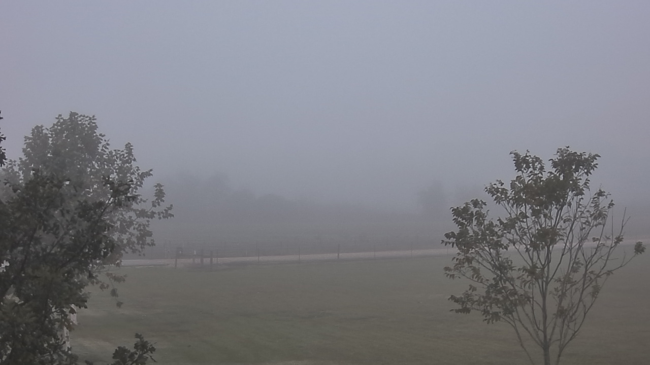 Thumbnail for current weather camera view from Long Acres Ranch in Richmond, Texas