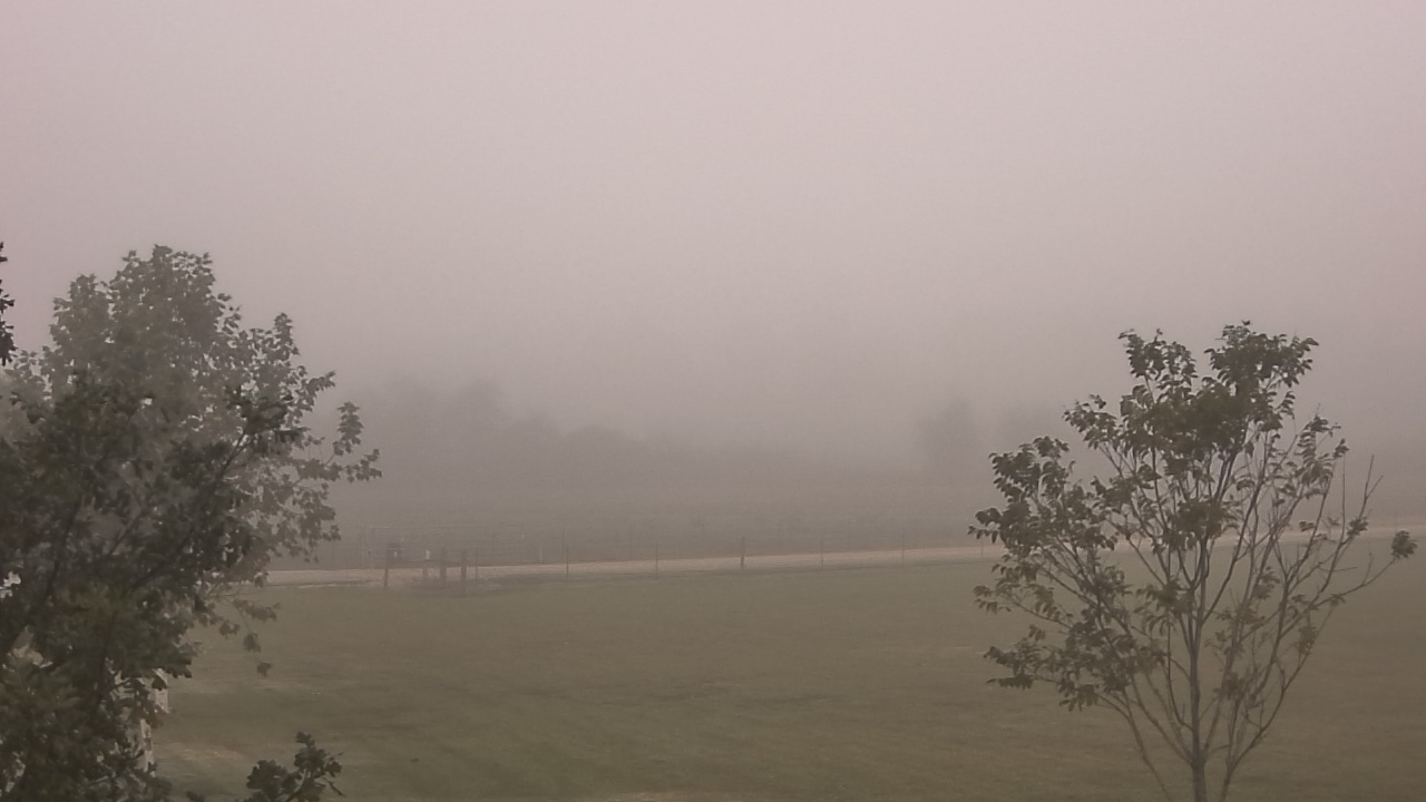 Thumbnail for current weather camera view from Long Acres Ranch in Richmond, Texas