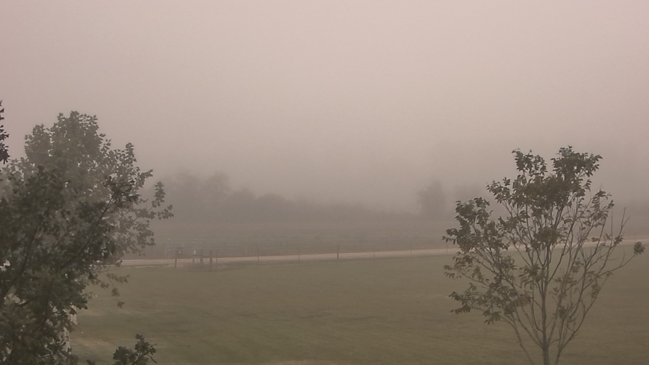 Thumbnail for current weather camera view from Long Acres Ranch in Richmond, Texas
