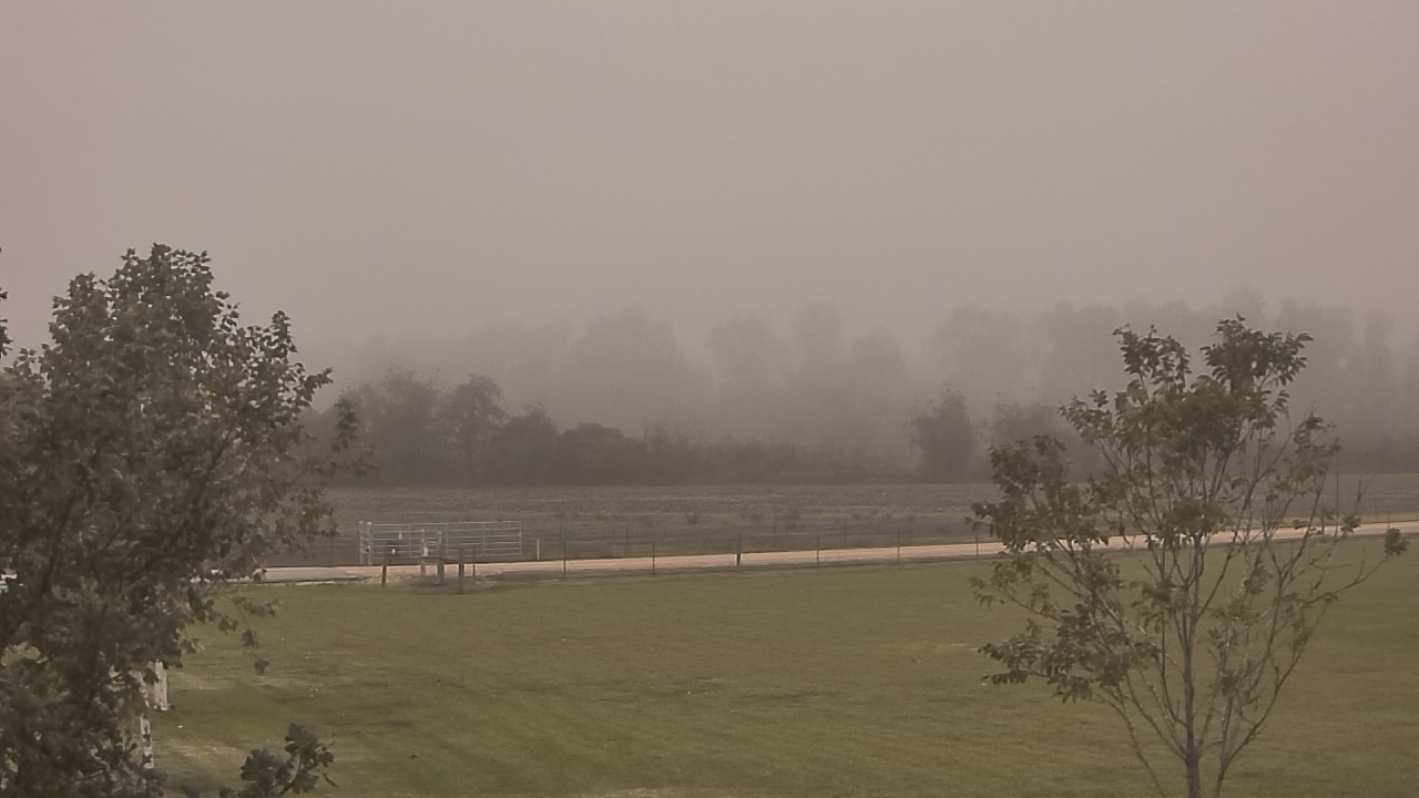 Thumbnail for current weather camera view from Long Acres Ranch in Richmond, Texas
