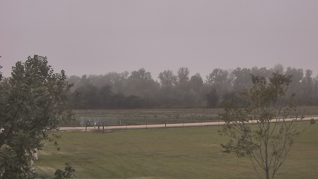 Thumbnail for current weather camera view from Long Acres Ranch in Richmond, Texas