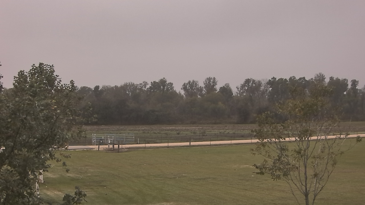 Thumbnail for current weather camera view from Long Acres Ranch in Richmond, Texas