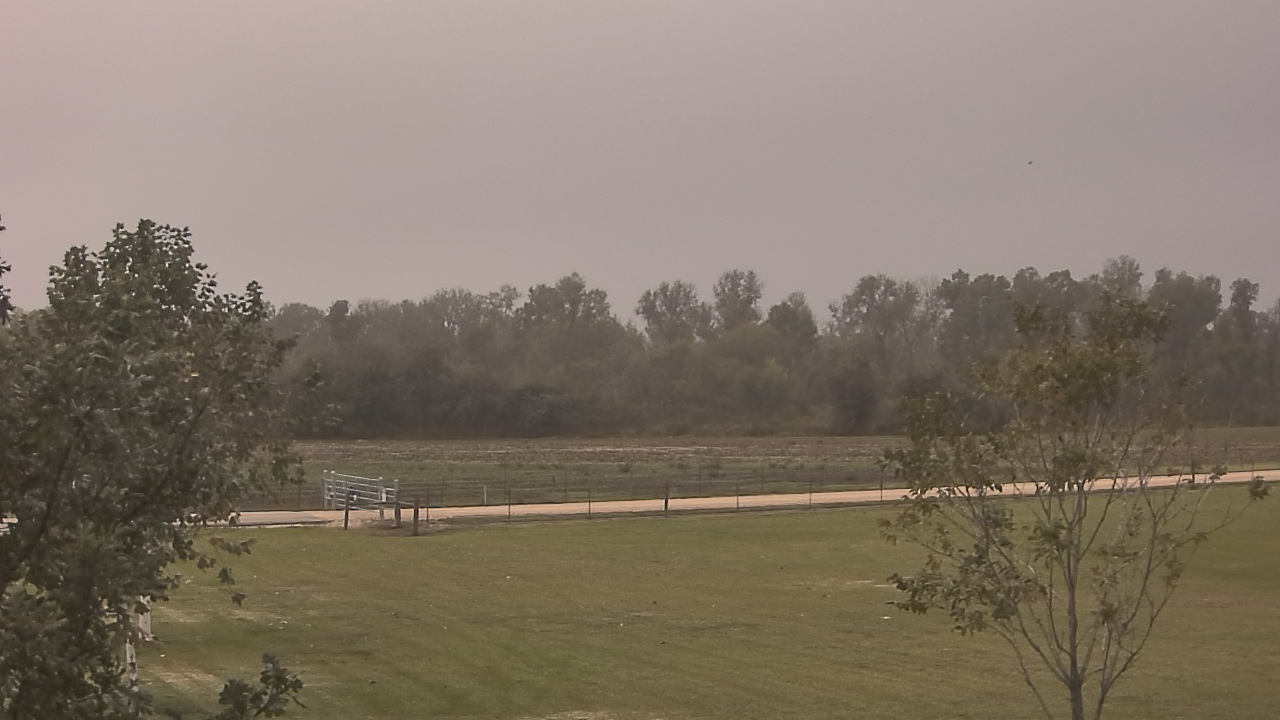 Thumbnail for current weather camera view from Long Acres Ranch in Richmond, Texas