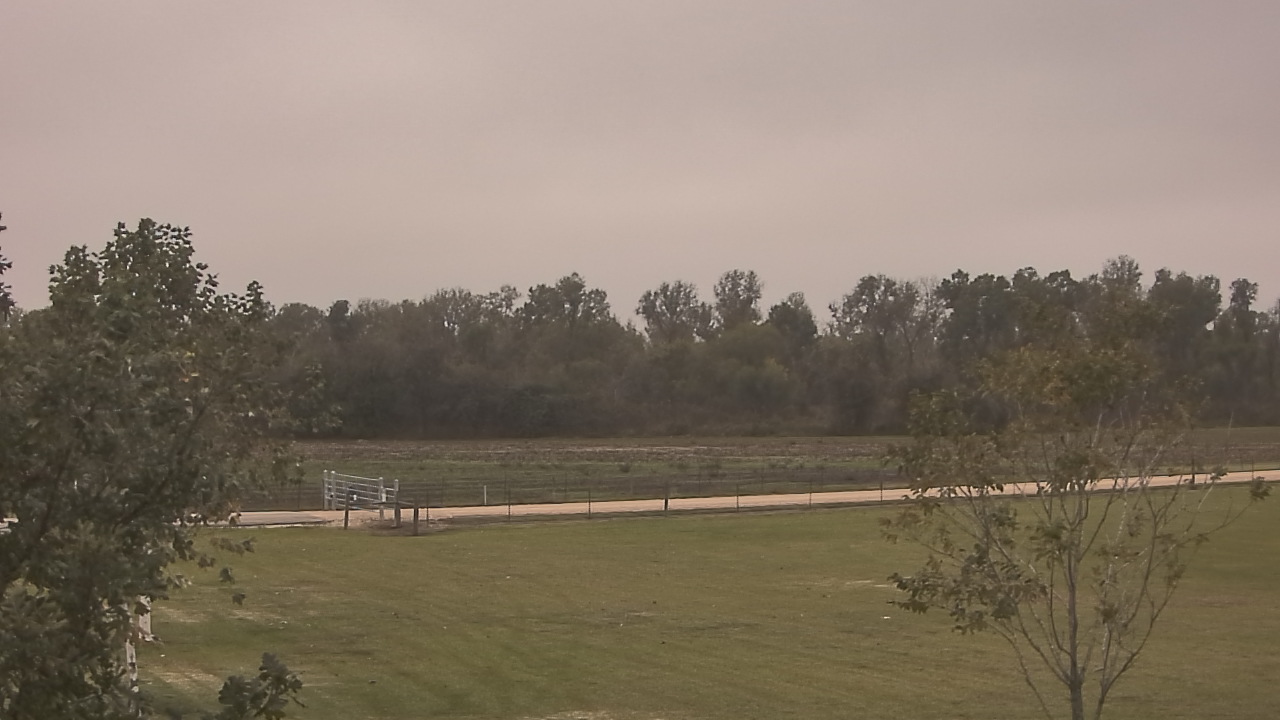 Thumbnail for current weather camera view from Long Acres Ranch in Richmond, Texas