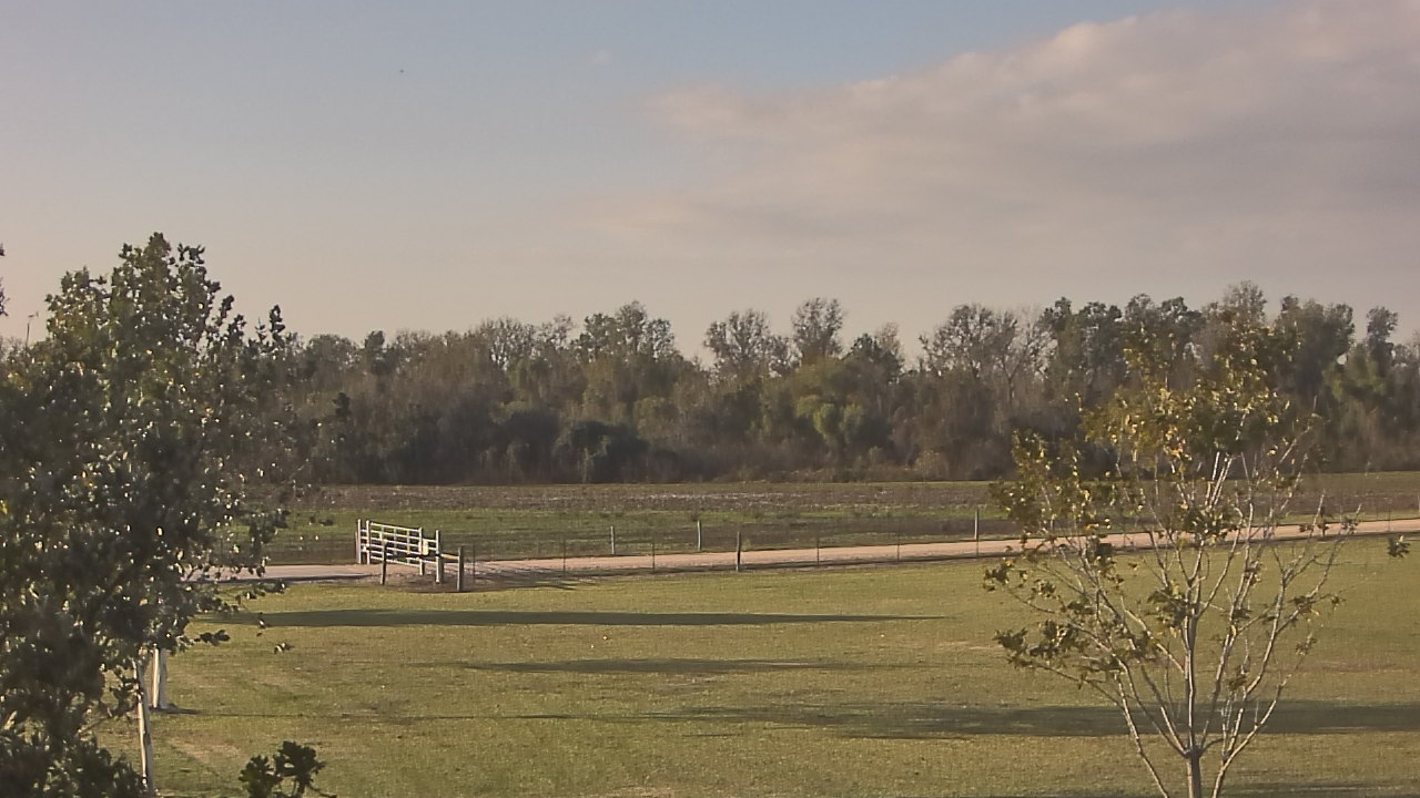 Thumbnail for current weather camera view from Long Acres Ranch in Richmond, Texas