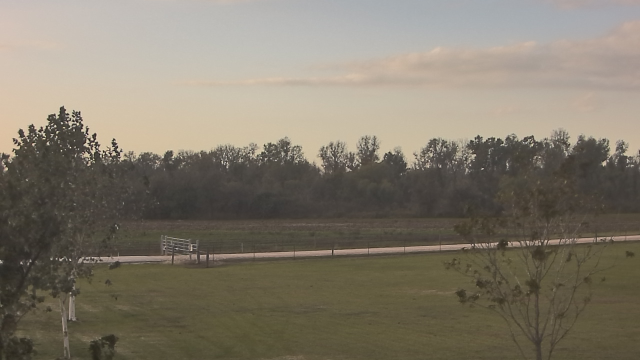 Thumbnail for current weather camera view from Long Acres Ranch in Richmond, Texas