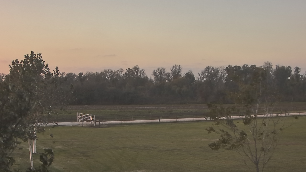 Thumbnail for current weather camera view from Long Acres Ranch in Richmond, Texas