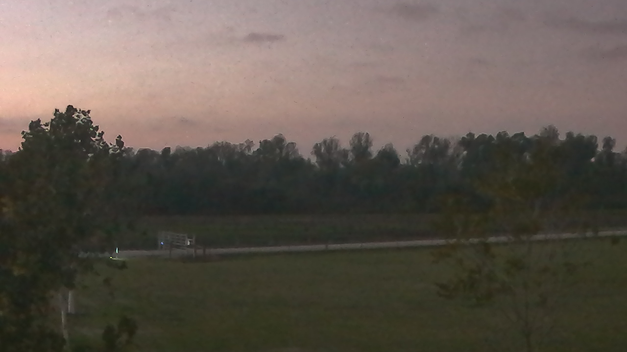 Thumbnail for current weather camera view from Long Acres Ranch in Richmond, Texas