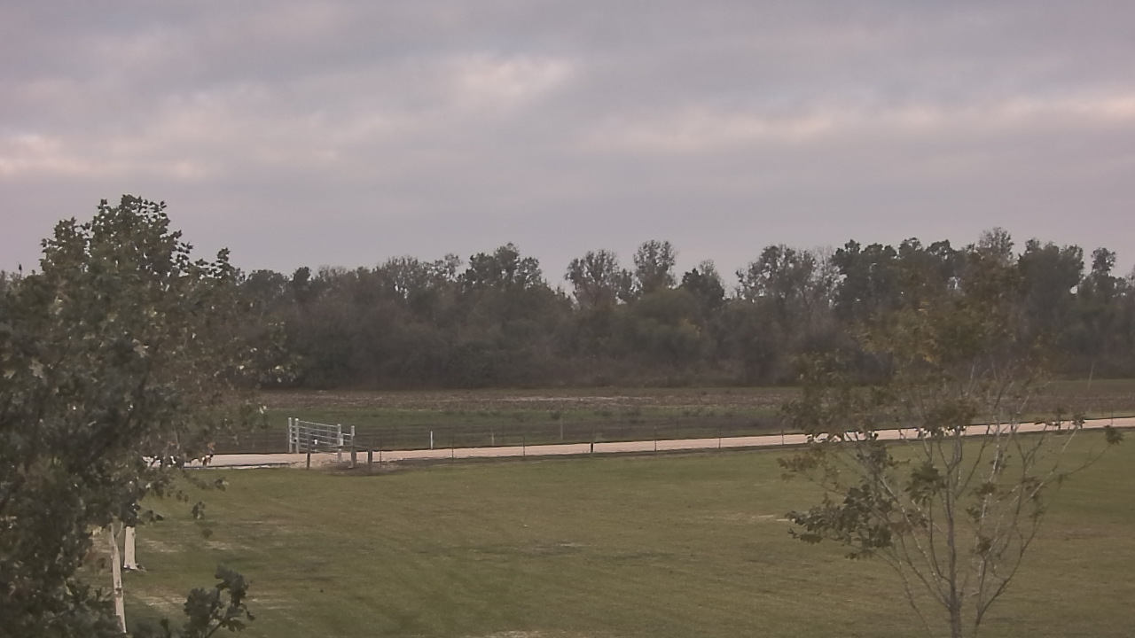 Thumbnail for current weather camera view from Long Acres Ranch in Richmond, Texas