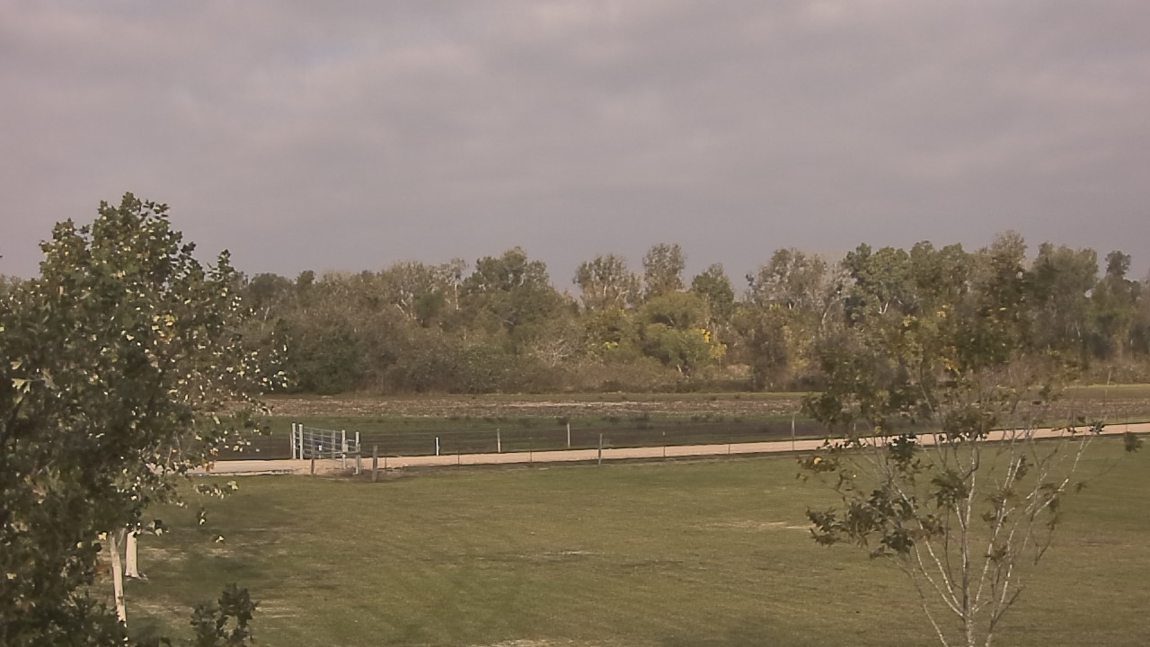 Thumbnail for current weather camera view from Long Acres Ranch in Richmond, Texas