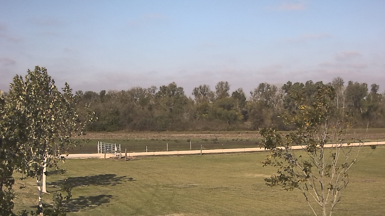 Thumbnail for current weather camera view from Long Acres Ranch in Richmond, Texas