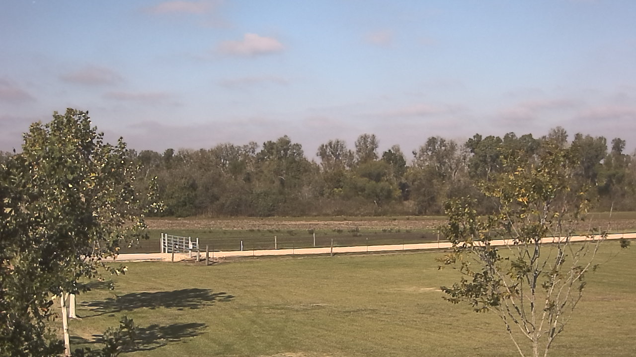 Thumbnail for current weather camera view from Long Acres Ranch in Richmond, Texas