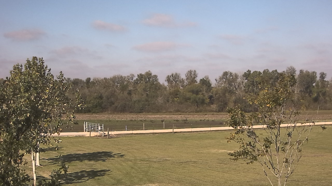 Thumbnail for current weather camera view from Long Acres Ranch in Richmond, Texas