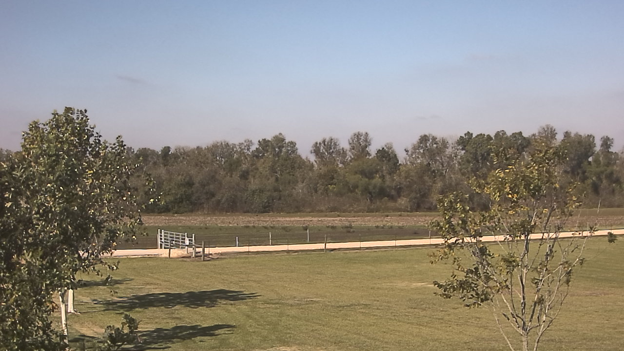 Thumbnail for current weather camera view from Long Acres Ranch in Richmond, Texas