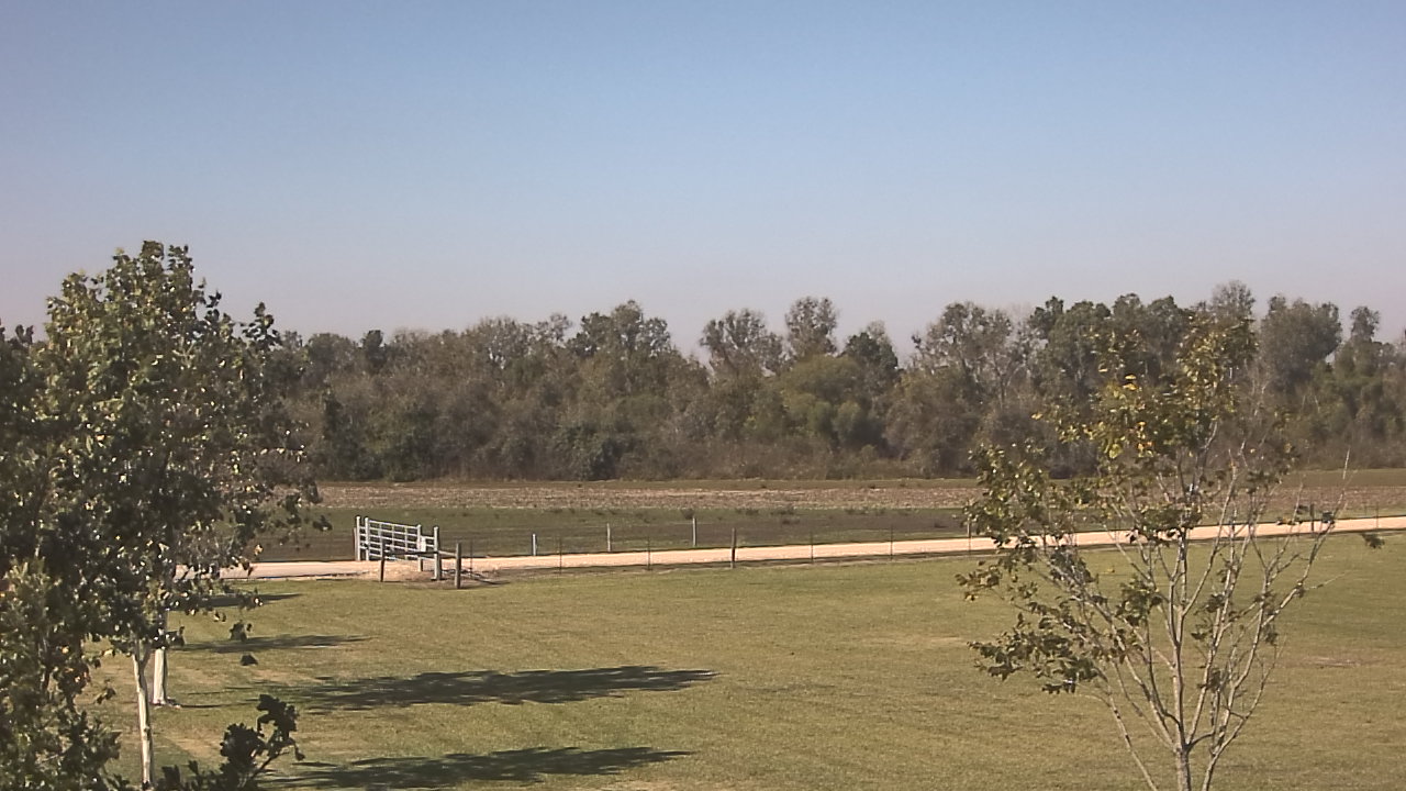 Thumbnail for current weather camera view from Long Acres Ranch in Richmond, Texas