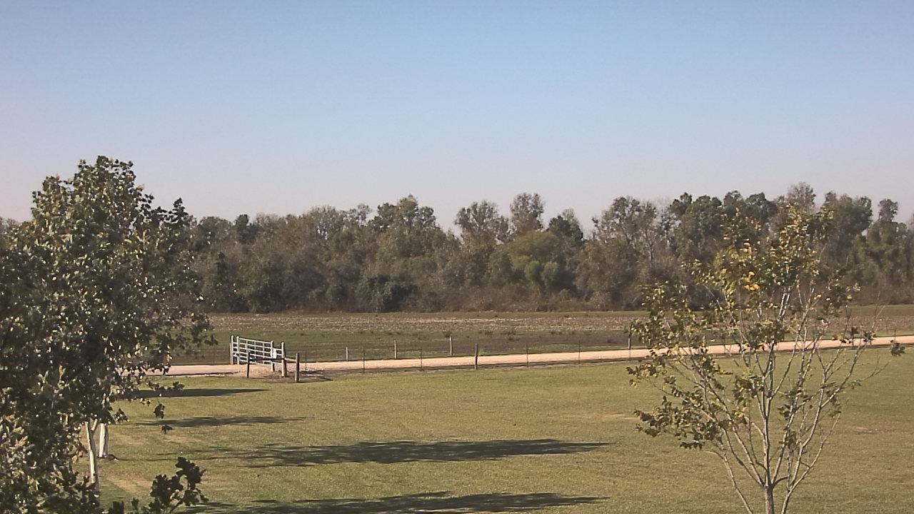 Thumbnail for current weather camera view from Long Acres Ranch in Richmond, Texas
