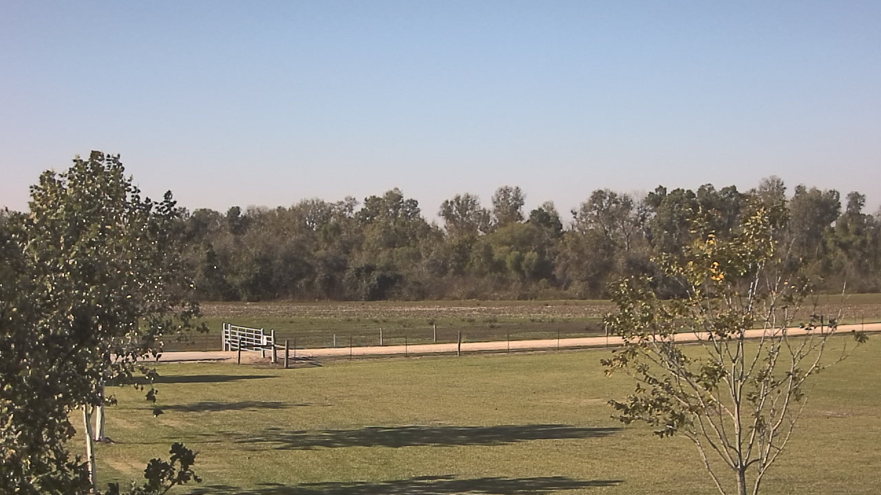 Thumbnail for current weather camera view from Long Acres Ranch in Richmond, Texas