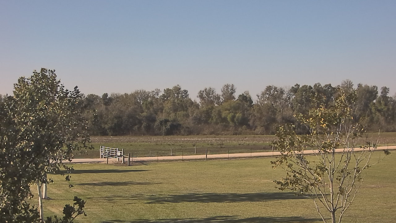 Thumbnail for current weather camera view from Long Acres Ranch in Richmond, Texas